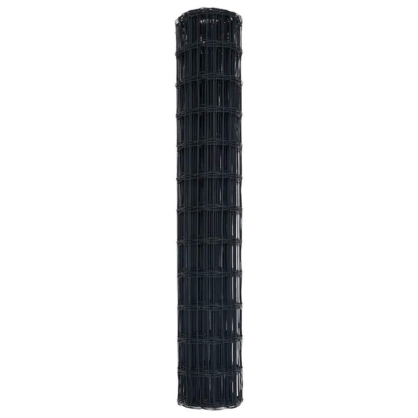 Euroaita 1 x 25 m PVC-pintainen rauta Harmaa