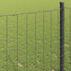 Euroaita 1,6 x 10 m PVC-pintainen rauta Musta