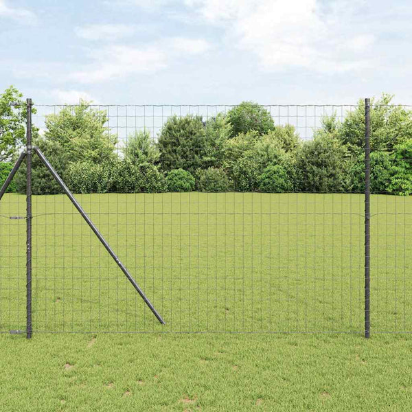 Euroaita 1,6 x 10 m PVC-pintainen rauta Musta