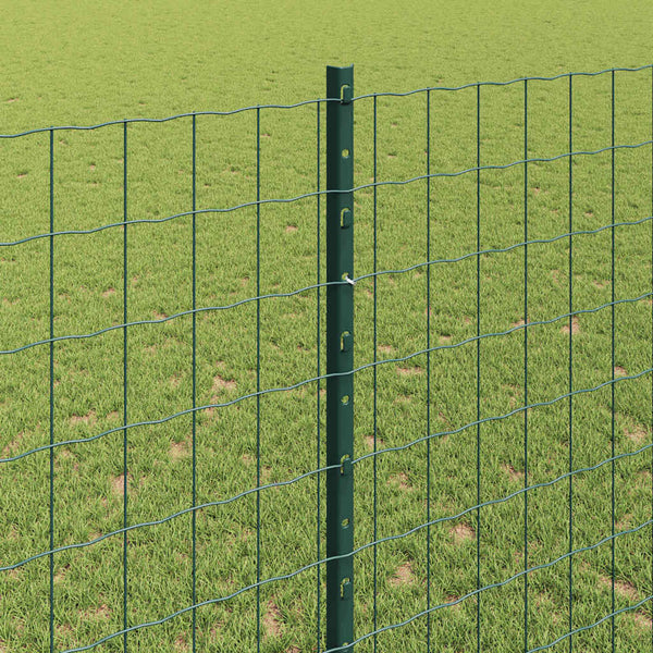 Euroaita with Post 10 x 1,4 m PVC-pinnoitettu teräs Vihreä