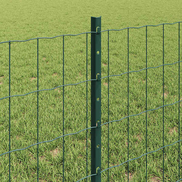 Euroaita with Post 10 x 0,6 m PVC-pinnoitettu teräs Vihreä