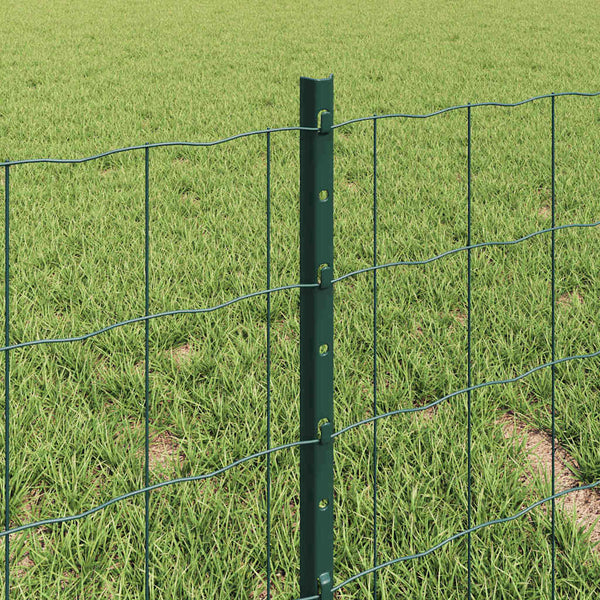 Euroaita with Post 10 x 0,4 m PVC-pinnoitettu teräs Vihreä