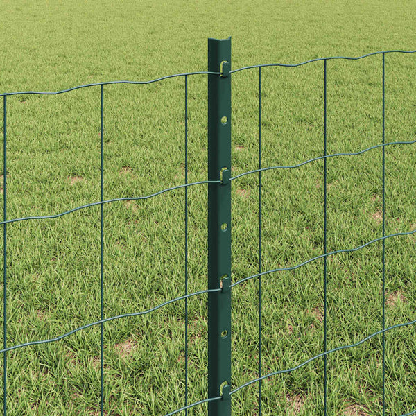 Euroaita with Post 10 x 0,6 m PVC-pinnoitettu teräs Vihreä