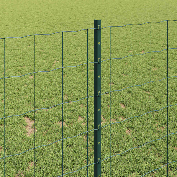 Euroaita with Post 10 x 1 m PVC-pinnoitettu teräs Vihreä Verkko