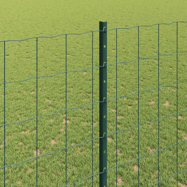 Euroaita with Post 10 x 1,6 m PVC-pinnoitettu teräs Vihreä