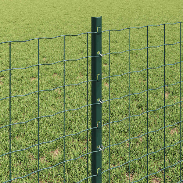 Euroaita with Post 25 x 0,6 m PVC-pinnoitettu teräs Vihreä