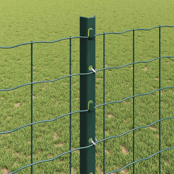 Euroaita with Post 25 x 1,2 m PVC-pinnoitettu teräs Vihreä