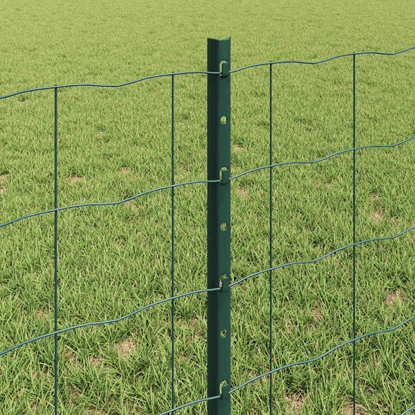 Euroaita with Post 25 x 0,6 m PVC-pinnoitettu teräs Vihreä