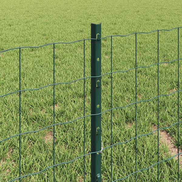 Euroaita with Post 10 x 0,4 m PVC-pinnoitettu teräs Vihreä