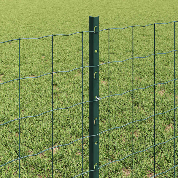 Euroaita with Post 10 x 0,6 m PVC-pinnoitettu teräs Vihreä