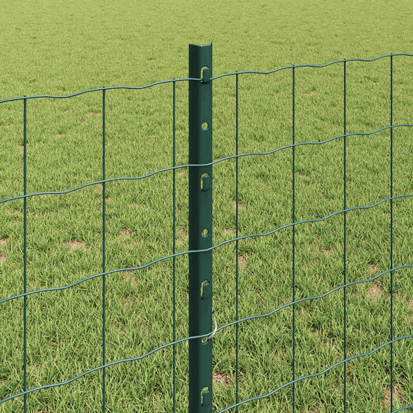 Euroaita with Post 10 x 0,8 m PVC-pinnoitettu teräs Vihreä