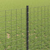 Euroaita with Post 10 x 1 m PVC-pinnoitettu teräs Harmaa Verkko