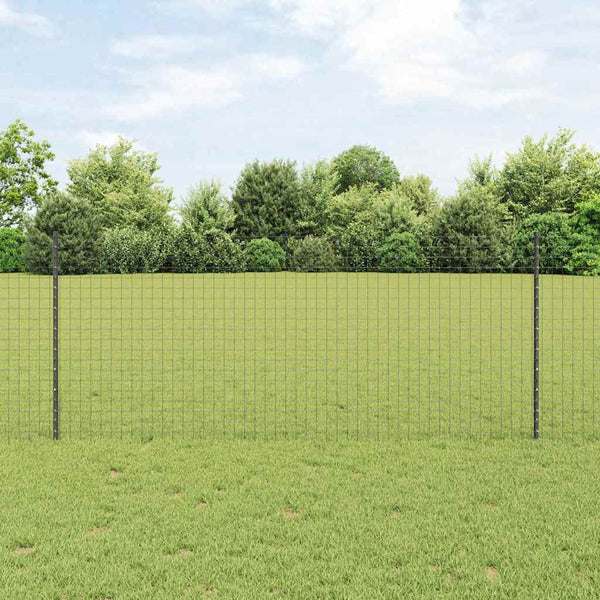 Euroaita with Post 10 x 1 m PVC-pinnoitettu teräs Harmaa Verkko