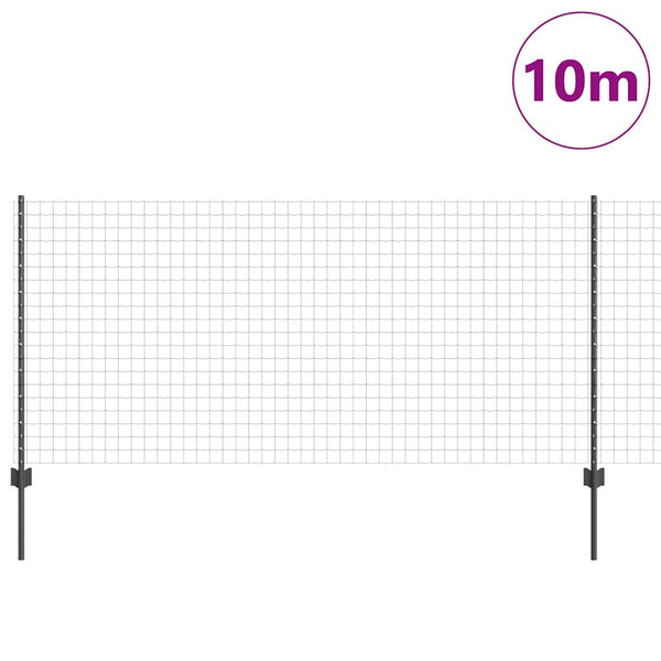 Euroaita with Post 10 x 1 m PVC-pinnoitettu teräs Harmaa Verkko