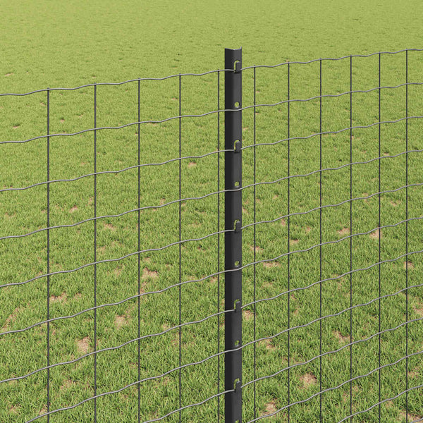 Euroaita with Post 10 x 1,5 m PVC-pinnoitettu teräs Harmaa
