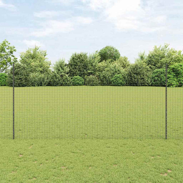 Euroaita with Post 10 x 1,6 m PVC-pinnoitettu teräs Harmaa
