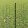 Euroaita with Post 10 x 1 m PVC-pinnoitettu teräs Harmaa Verkko