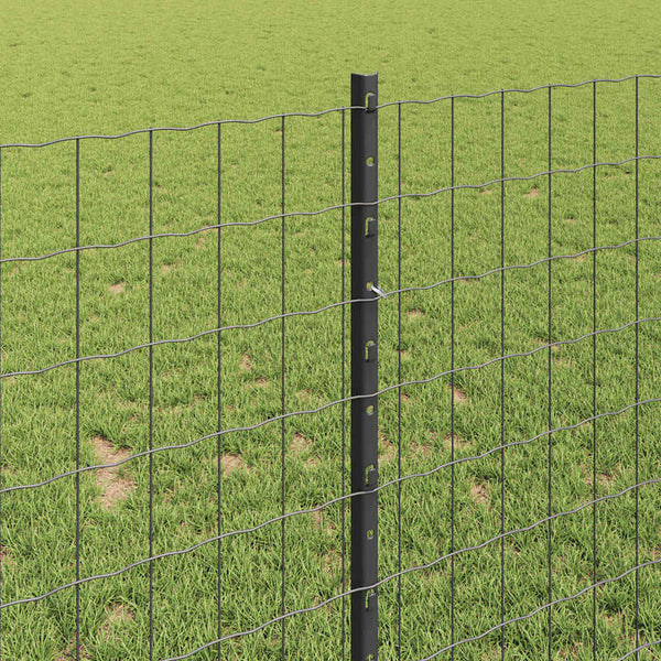Euroaita with Post 10 x 1 m PVC-pinnoitettu teräs Harmaa Verkko