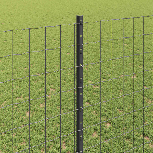 Euroaita with Post 10 x 1,4 m PVC-pinnoitettu teräs Harmaa
