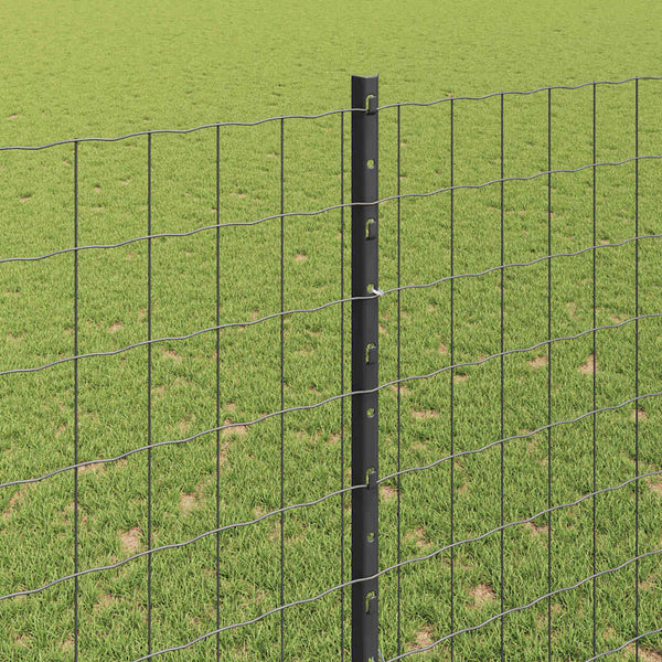 Euroaita with Post 10 x 1,6 m PVC-pinnoitettu teräs Harmaa