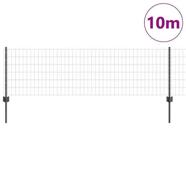 Euroaita with Post 10 x 0,6 m PVC-pinnoitettu teräs Harmaa