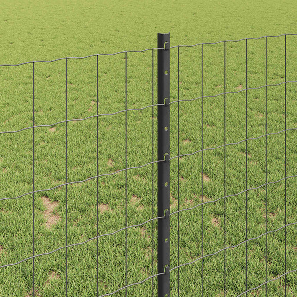 Euroaita with Post 10 x 1 m PVC-pinnoitettu teräs Harmaa Verkko
