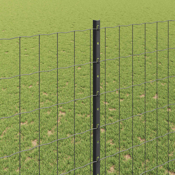 Euroaita with Post 10 x 1,5 m PVC-pinnoitettu teräs Harmaa