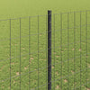 Euroaita with Post 10 x 1,6 m PVC-pinnoitettu teräs Harmaa
