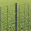Euroaita with Post 10 x 0,6 m PVC-pinnoitettu teräs Harmaa