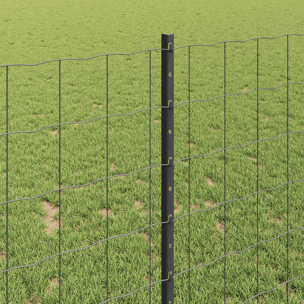 Euroaita with Post 10 x 1 m PVC-pinnoitettu teräs Harmaa Verkko