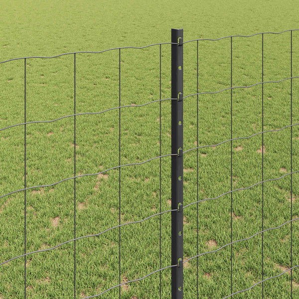 Euroaita with Post 10 x 1,4 m PVC-pinnoitettu teräs Harmaa