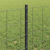Euroaita with Post 10 x 0,6 m PVC-pinnoitettu teräs Harmaa