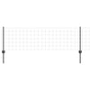 Euroaita with Post 10 x 0,6 m PVC-pinnoitettu teräs Harmaa