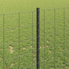 Euroaita with Post 10 x 1 m PVC-pinnoitettu teräs Harmaa Verkko