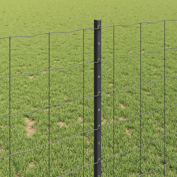 Euroaita with Post 10 x 1 m PVC-pinnoitettu teräs Harmaa Verkko