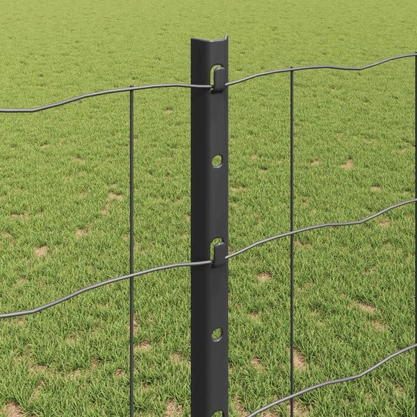 Euroaita with Post 10 x 1,2 m PVC-pinnoitettu teräs Harmaa