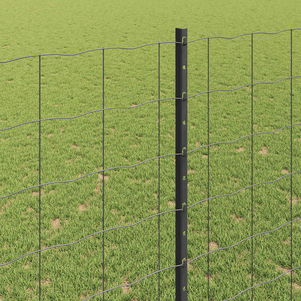 Euroaita with Post 10 x 1,4 m PVC-pinnoitettu teräs Harmaa