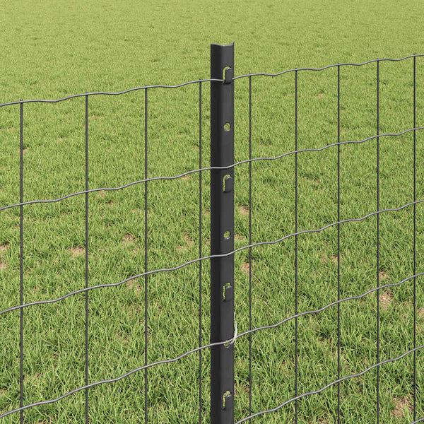 Euroaita with Post 25 x 0,8 m PVC-pinnoitettu teräs Harmaa