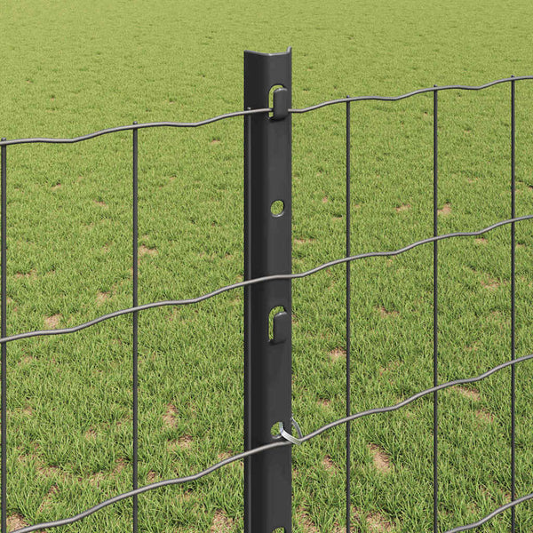 Euroaita with Post 25 x 1,2 m PVC-pinnoitettu teräs Harmaa
