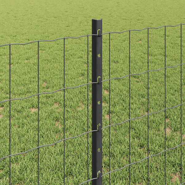 Euroaita with Post 25 x 0,8 m PVC-pinnoitettu teräs Harmaa