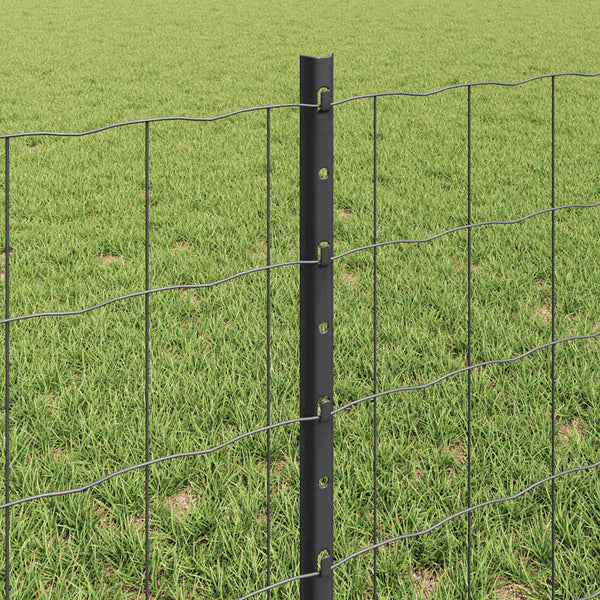 Euroaita with Post 25 x 0,6 m PVC-pinnoitettu teräs Harmaa