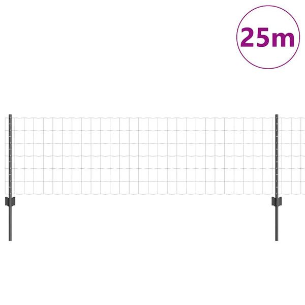 Euroaita with Post 25 x 0,6 m PVC-pinnoitettu teräs Harmaa