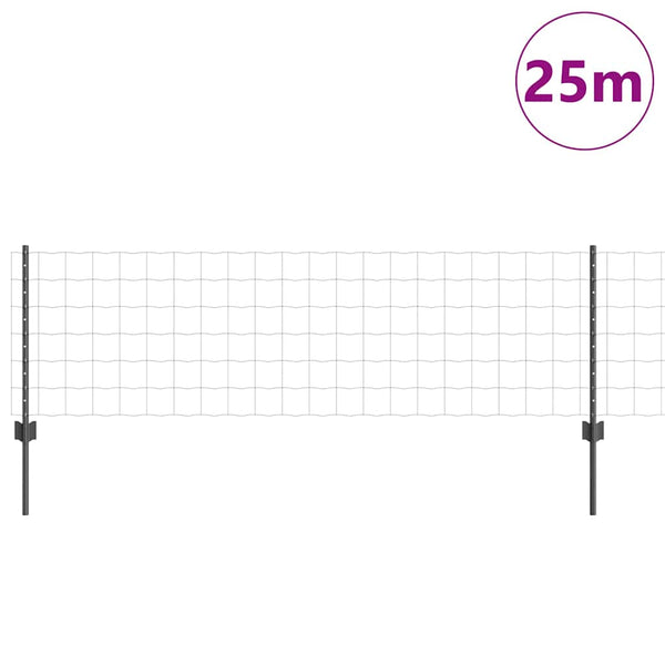 Euroaita with Post 25 x 0,6 m PVC-pinnoitettu teräs Harmaa
