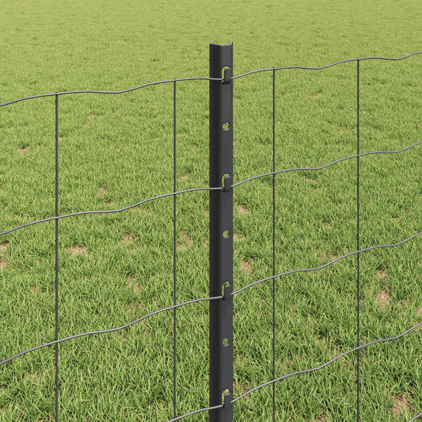 Euroaita with Post 25 x 0,8 m PVC-pinnoitettu teräs Harmaa