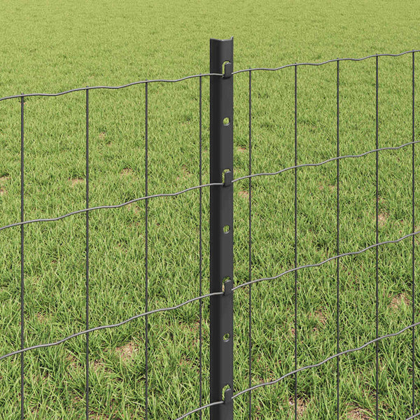 Euroaita with Post 50 x 0,6 m PVC-pinnoitettu teräs Harmaa