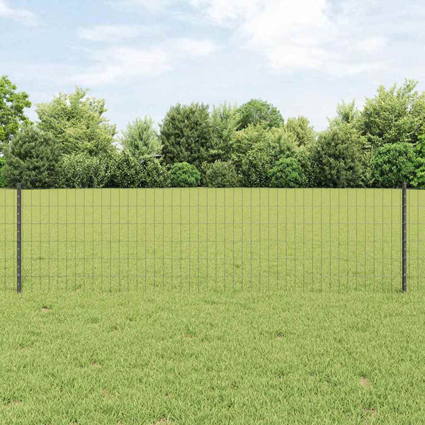 Euroaita with Post 50 x 0,6 m PVC-pinnoitettu teräs Harmaa