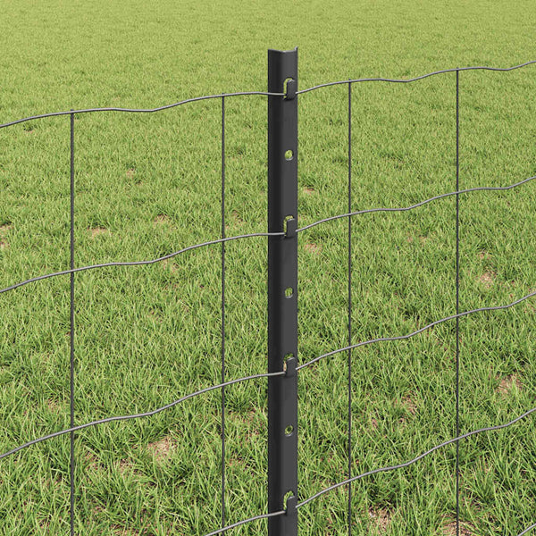 Euroaita with Post 50 x 0,6 m PVC-pinnoitettu teräs Harmaa