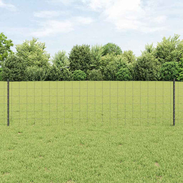 Euroaita with Post 50 x 0,6 m PVC-pinnoitettu teräs Harmaa