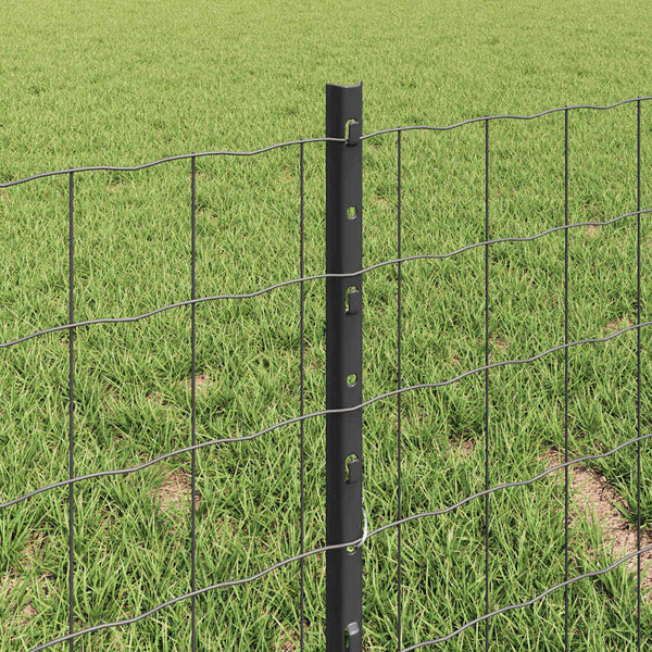 Euroaita with Post 10 x 0,4 m PVC-pinnoitettu teräs Harmaa