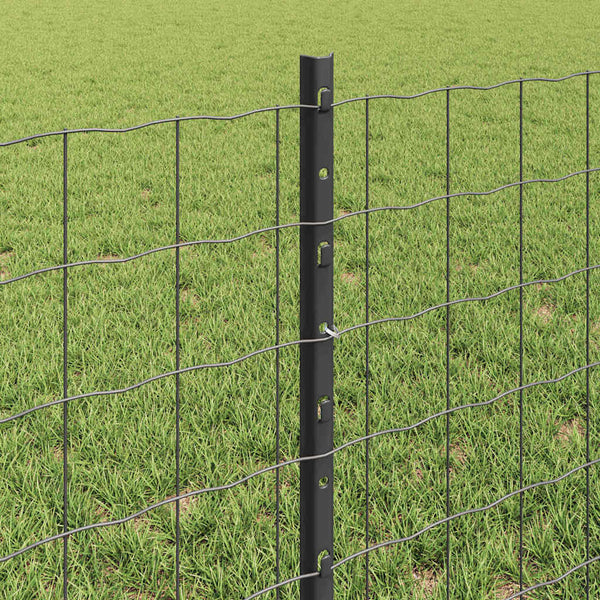 Euroaita with Post 10 x 0,6 m PVC-pinnoitettu teräs Harmaa